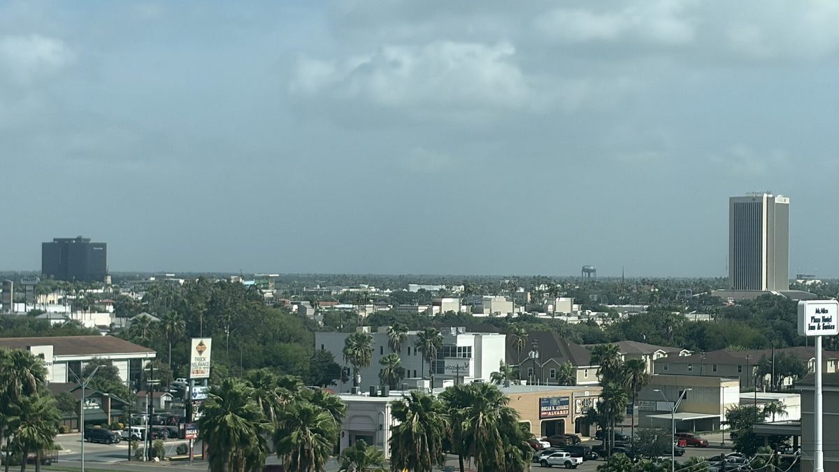 McAllen seen over palm trees under a hazy sky, low-rise buildings with two office towers on the horizon